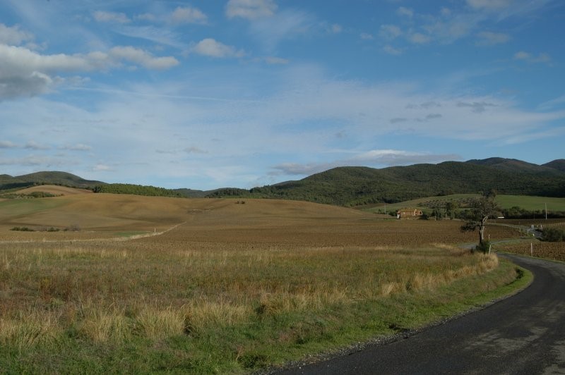 BIBBONA CAMPAGNA